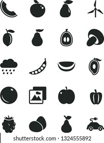 Solid Black Vector Icon Set - rainy cloud vector, picture, eggs, porcini, pear, orange, apple, blackberry, slice of melon, half mango, loquat, lemon, delicious, piece coconut, ripe guava, peas