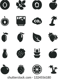 Solid Black Vector Icon Set - a glass of tea vector, strawberries, mint, ripe peach, half apricot, branch grape, red apple, plum, rose hip, tasty raspberry, mango, cherry, lemon, juicy, delicious