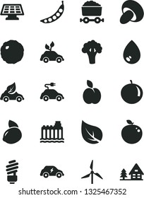 Solid Black Vector Icon Set - saving light bulb vector, drop, porcini, cabbage, apple, tangerine, yellow lemon, delicious, peas, broccoli, leaf, windmill, hydroelectricity, eco car, electric
