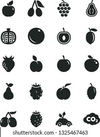 Solid Black Vector Icon Set - apple vector, pear, orange, ripe peach, half pomegranate, large grape, apricot, strawberry, cornels, blackberry, tasty raspberry, mulberry, plum, cherry, lemon