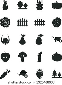 Solid Black Vector Icon Set - garden trolley vector, building, fence, hedge, tomato, carrot, strawberries, pear, mint, squash, tasty apple, raspberry, rose hip, physalis, stub, broccoli, pumpkin