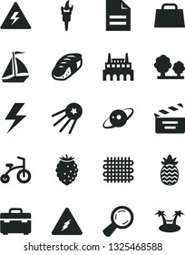 Solid Black Vector Icon Set - lightning vector, danger of electricity, scribbled paper, movie cracker, child bicycle, suitcase, sushi, tasty raspberry, pineapple, trees, industrial factory, weaving