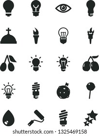 Solid Black Vector Icon Set - matte light bulb vector, new roller, saving, eye, drop, Chupa Chups, cornels, tasty, energy, flame torch, flag on moon, crown with cross, three stars