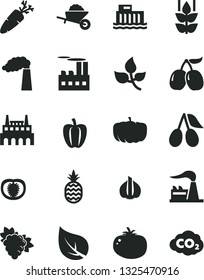 Solid Black Vector Icon Set - garden trolley vector, tomato, carrot, a pineapple, mint, branch of grape, cornels, tasty, half, Bell pepper, garlic, pumpkin, leaves, leaf, manufacture, factory