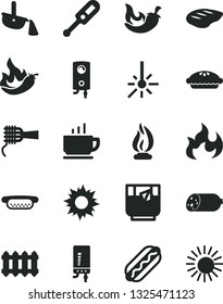 Solid Black Vector Icon Set - electronic thermometer vector e, new radiator, boiler, coffee, sausage, Hot Dog, mini, noodles, pie, chop, chili, a glass of tea, pepper, outdoor, steel production, sun