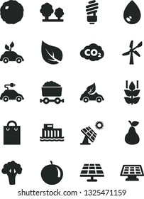 Solid Black Vector Icon Set - saving light bulb vector, drop, cabbage, pear, mint, tangerine, broccoli, solar panel, big, leaf, wind energy, hydroelectric station, trees, eco car, electric, bag, sun