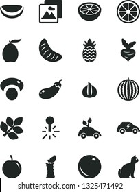 Solid Black Vector Icon Set - picture vector, orange, water melon, loquat, slice of tangerine, tasty plum, juicy lemon, piece coconut, pineapple, half grapefruit, apple stub, garlic, beet, mashroom