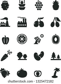 Solid Black Vector Icon Set - tomato vector, mint, branch of grape, large, cornels, blackberry, tasty, delicious plum, juicy lemon, ripe pineapple, half, Bell pepper, carrot, beans, big solar panel