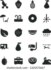 Solid Black Vector Icon Set - summer stroller vector, rainy cloud, suitcase, strawberry, strawberries, a pineapple, pear, water melon slice, passion fruit, of, half grapefruit, ripe guava, leaf