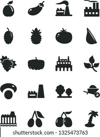 Solid Black Vector Icon Set - garden trolley vector, tomato, garlic, branch of grape, cornels, mulberry, tasty, guava, ripe pineapple, mashroom, eggplant, pumpkin, leaves, factory, hydroelectricity