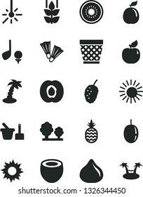 Solid Black Vector Icon Set - wicker pot vector, toy sand set, a pineapple, mint, half apricot, fig, tasty mulberry, passion fruit, of kiwi, guava, coconut, trees, outdoor thermometer, sun, flippers