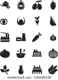 Solid Black Vector Icon Set - garden trolley vector, tomato, garlic, carrot, half pomegranate, rose hip, mulberry, tasty cornels, loquat, physalis, radish, leaves, hydroelectric station, factory