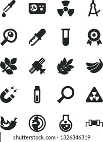 Solid Black Vector Icon Set - chili vector, bananas, flask, test tube, nuclear, zoom, satellite, pipette, oscilloscope, magnet, drawing compass, artifical insimination, earth core, medal, biology