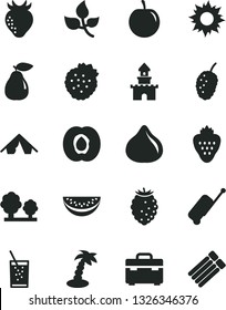 Solid Black Vector Icon Set - suitcase vector, a glass of soda, strawberry, strawberries, half apricot, pear, fig, tasty raspberry, mulberry, water melon slice, plum, leaves, trees, sand castle, sun