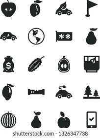 Solid Black Vector Icon Set - pennant vector, construction level, a glass of tea, apple, pear, tasty, water melon, mango, half loquat, ripe plum, guava, cucumber, planet Earth, forest, eco car