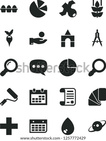 Solid Black Vector Icon Set - calendar vector, plus, pie chart, box of bricks, new roller, sample colour, drop, bundle eggs, mint, radish, Measuring compasses, catch a coin, charts, research article