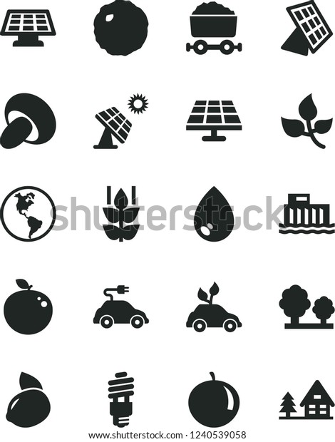 Solid Black Vector Icon Set - drop vector, porcini,\
cabbage, mint, tangerine, yellow lemon, delicious apple, solar\
panel, big, leaves, planet Earth, hydroelectric station, trees,\
energy saving bulb