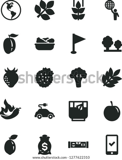 Solid Black Vector Icon Set - pennant vector,\
building level, lettuce in a plate, glass of tea, strawberries,\
mint, strawberry, ripe plum, tasty, sour lime, hot pepper,\
broccoli, planet Earth,\
trees