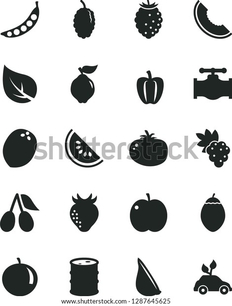Solid Black Vector Icon Set - tomato vector, garlic,\
apple, grape, quince, strawberry, cornels, tasty raspberry,\
mulberry, slice of melon, water, tangerine, tamarillo, coconut,\
Bell pepper, peas