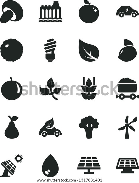 Solid Black Vector Icon Set - saving light bulb\
vector, drop, porcini, cabbage, pear, mint, tangerine, yellow\
lemon, delicious apple, broccoli, solar panel, big, leaves, leaf,\
wind energy, eco car
