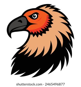 Solid color Bearded Vulture animal vector on white background