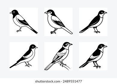 Solid color Eastern Kingbird animal vector design