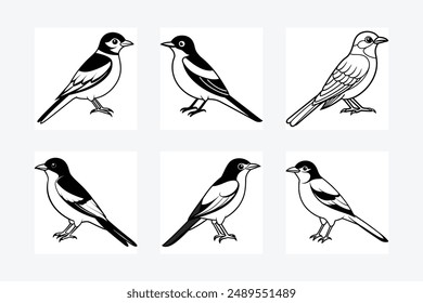 Solid color Eastern Kingbird animal vector design