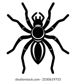 Solid color Tarantula animal vector design