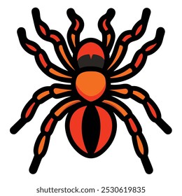 Solid color Tarantula animal vector design