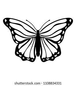 similar images stock photos vectors of butterfly isolated line art stock vector illustration hand drawn doodle coloring book page 562607935 shutterstock