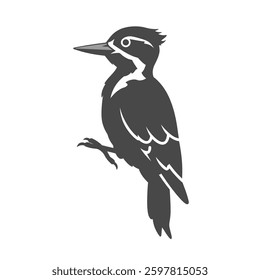 A Solid Depiction of a Woodpecker, Representing Determination and Focus