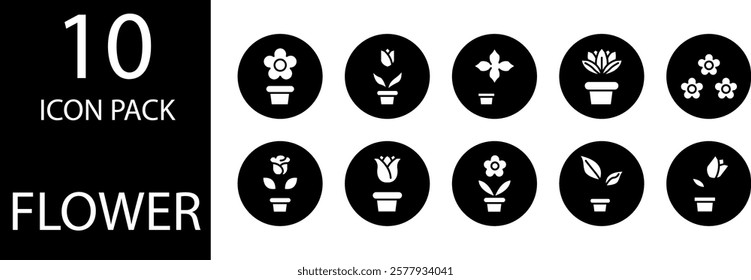 Solid glyph style flower icon with an elegant design, suitable for modern and minimalist decorations.