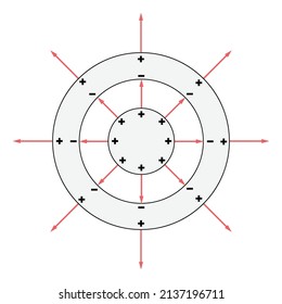 Solid gray positive conducting sphere inside a hollow gray conducting sphere. positive and negative charges distributed on the surfaces. White background.
