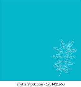 Solid light background with leaves