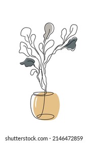 Solid line drawing of a botanical plant in a vase. Black outline and colored spots. Flower pot. Modern design. Vector illustration isolated on white background.