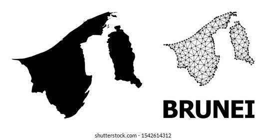 Solid and mesh vector map of Brunei. Wire carcass 2D triangular mesh in vector format, geographic templates for economical illustrations. Illustrations are isolated on a white background.