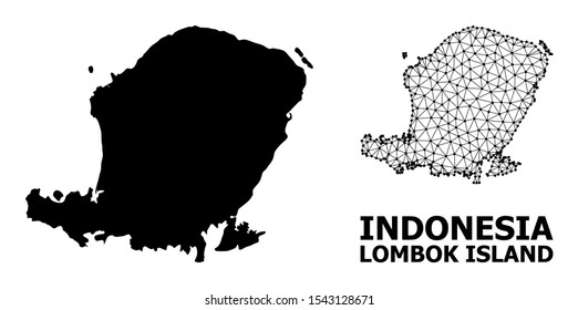 Solid and mesh vector map of Lombok Island. Wire frame 2D polygonal mesh in vector EPS format, geographic models for educational purposes. Illustrations are isolated on a white background.