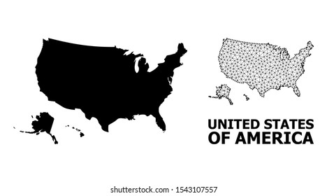 Solid and mesh vector map of USA territories. Wire carcass 2D triangular mesh in vector format, geographic models for economical illustrations. Illustrations are isolated on a white background.