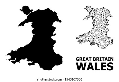 Solid and mesh vector map of Wales. Wire frame flat polygonal mesh in vector format, geographic templates for economics illustrations. Illustrations are isolated on a white background.