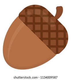 Solid nut from oats family is designing an icon for acorn 