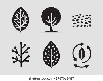 Solid seasonal foliage autumn nature icons set with fall leaves color changes and seasonal transitions for creative design