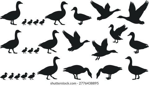 Solid silhouette vector duck collection, goose and ducklings flying and standing shapes, pond wildlife icons, aquatic birds, nature design elements.