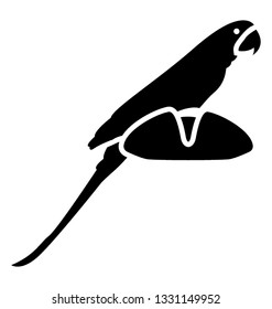 Solid vector icon of pirate parrot.