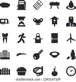 Solid vector icon set - apron flat vector, fridge, cupcake, dish, porridge, onion, nesting box, fence, knife, butterflies, windmill, refueling, drop, physician, dental crowns, sports equipment horse