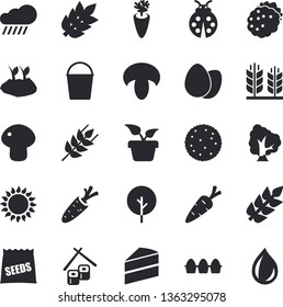 Solid vector icon set - cake flat vector, gas, ear, biscuit, egg, mushroom, carrot, fish rolls, blackberry, seeds, home plant, tree, ladybird, bucketful, planting plants, rain, spike, drop