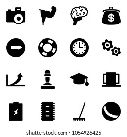 Solid vector icon set - camera vector, power hand, brain, purse, only right road sign, lifebuoy, time, gears, growth arrow, pawn, graduate hat, doors, battery, chip, rake, ball