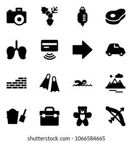Solid vector icon set - camera vector, holly, drop counter, meat, lungs, tap pay, right arrow, car, brick wall, flippers, swimming, mountains, bucket scoop, tool box, bear toy, bow