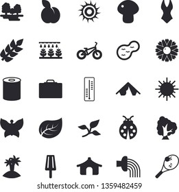 Solid vector icon set - canned food flat vector, mushroom, ice cream, plum, thermometer, tree, flower, ladybird, sprinkling machine, hose irrigation, sun, butterflies, pond, leaf, forest, ear, tent