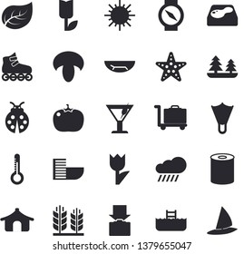 Solid vector icon set - canned food flat vector, mushroom, tomato, cocktail, thermometer, ladybird, tulip, sun, rain, pool, tree leaf, forest, ear, roller Skates, tent fector, hotel first line