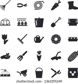Solid vector icon set - carrot flat vector, cucumber, flower, sprinkling machine, pitchfork, shovel, hose, secateurs, seedlings, rake, watering can, bucketful, garden wheelbarrow, gumboots, tulip